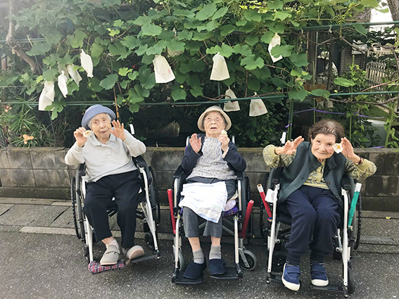 ご近所を散歩中